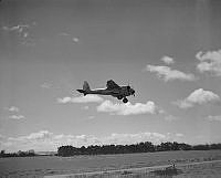 DM49-51.jpg