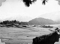 ALB1919010282.JPG