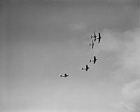 DM204-52.jpg