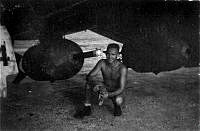 ALB971531221.jpg