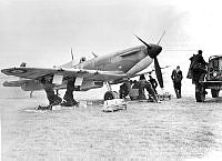 MUS0700717.jpg