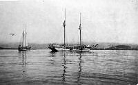 ALB8319526054.jpg
