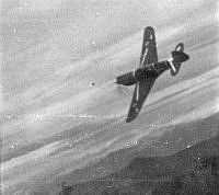 ALB100541002.jpg
