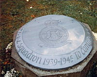 ALB2318313095.jpg