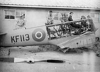 ALB844621c069.jpg