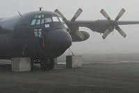 MUS25032.jpg