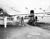 WhG9119-65_1.jpg