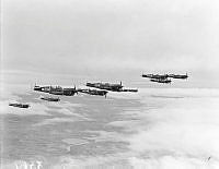 PR3361.JPG