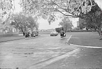 WhG1654-31a-79.JPG