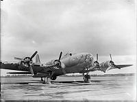 WhG348-42_1.JPG