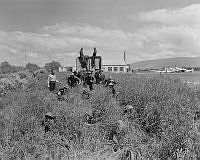 DM129-51.jpg