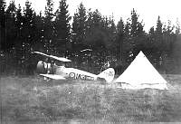 MUS070133.jpg