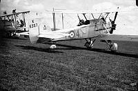 ALB971531027.jpg