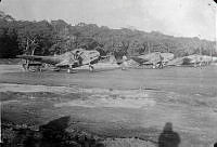 ALB845871a014.jpg