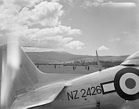 DM82-51.jpg