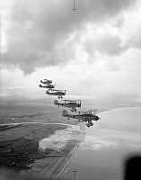 OhG1653-41.jpg