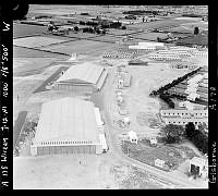 GisG913-A178.JPG