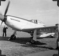 ALB971531051.jpg