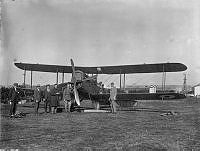 ALB862456054.jpg