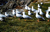 2013-227.1026.jpg