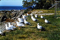 2013-227.1027.jpg