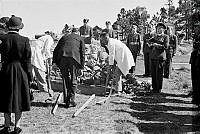 WhG5219-53_1.JPG