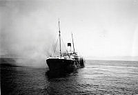 ALB1617713144.jpg