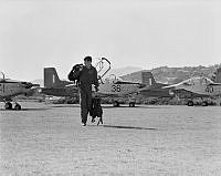 WgG1473-78.jpg