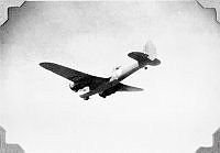 ALB1919010174.JPG