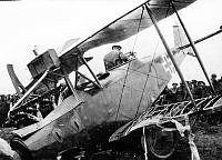 ALB8319526571.jpg