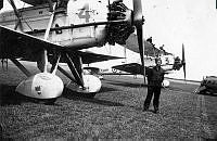 ALB971531032.jpg
