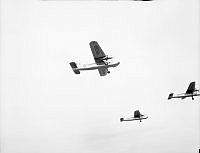 WhG4205-53_1_1.JPG
