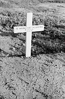 PR7837.jpg