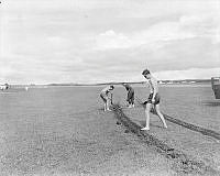 WhG7746-64.jpg