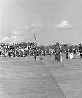 WhG553-14-81.jpg