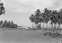 2013-227.284.JPG