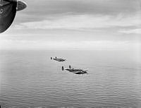 PR4932.jpg