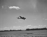 DM50-51.jpg