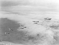 PR3365.JPG