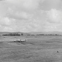 OhG333-68.jpg