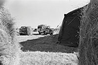 WgG492-19a-79.JPG