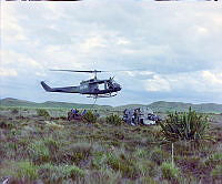 CrNZ3813JJ1.JPG