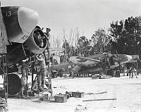 PR4903.jpg