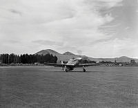 DM81-51.jpg