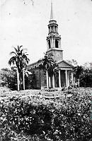 ALB845871a065.jpg