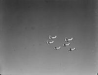 WhG3220-52_1.JPG