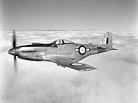 OhG1369-53_1.jpg