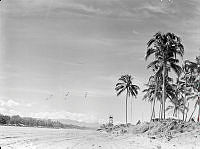 PR3254.JPG