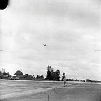 MUS000243.jpg