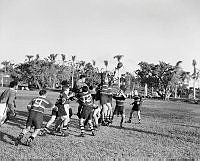 LbG353-52.JPG